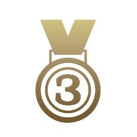 The Bronze Medal